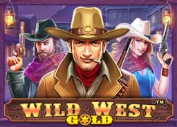 fieldguidetoprogrammers: Wild West Gold